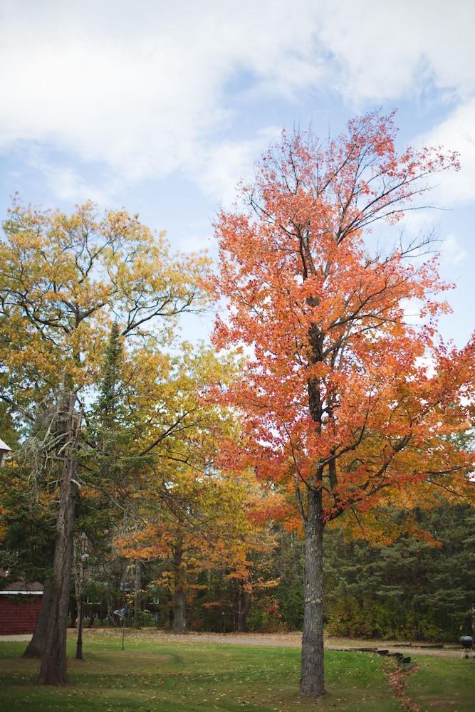 Mission Springs Resort - photo 65