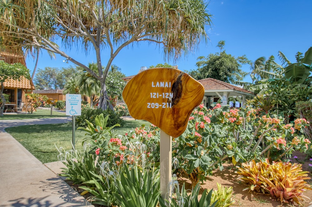 Hotel Molokai - photo 35