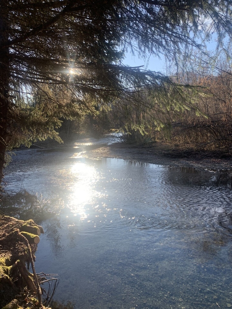 Bear Bottoms At Salmon Creek — Seward