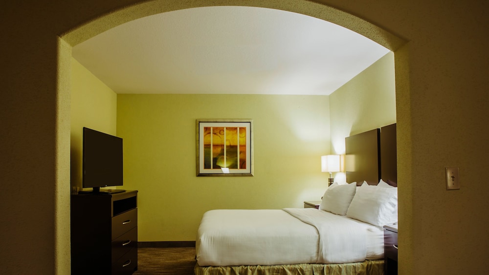 Holiday Inn Express & Suites Waller Prairie View by IHG - photo 7
