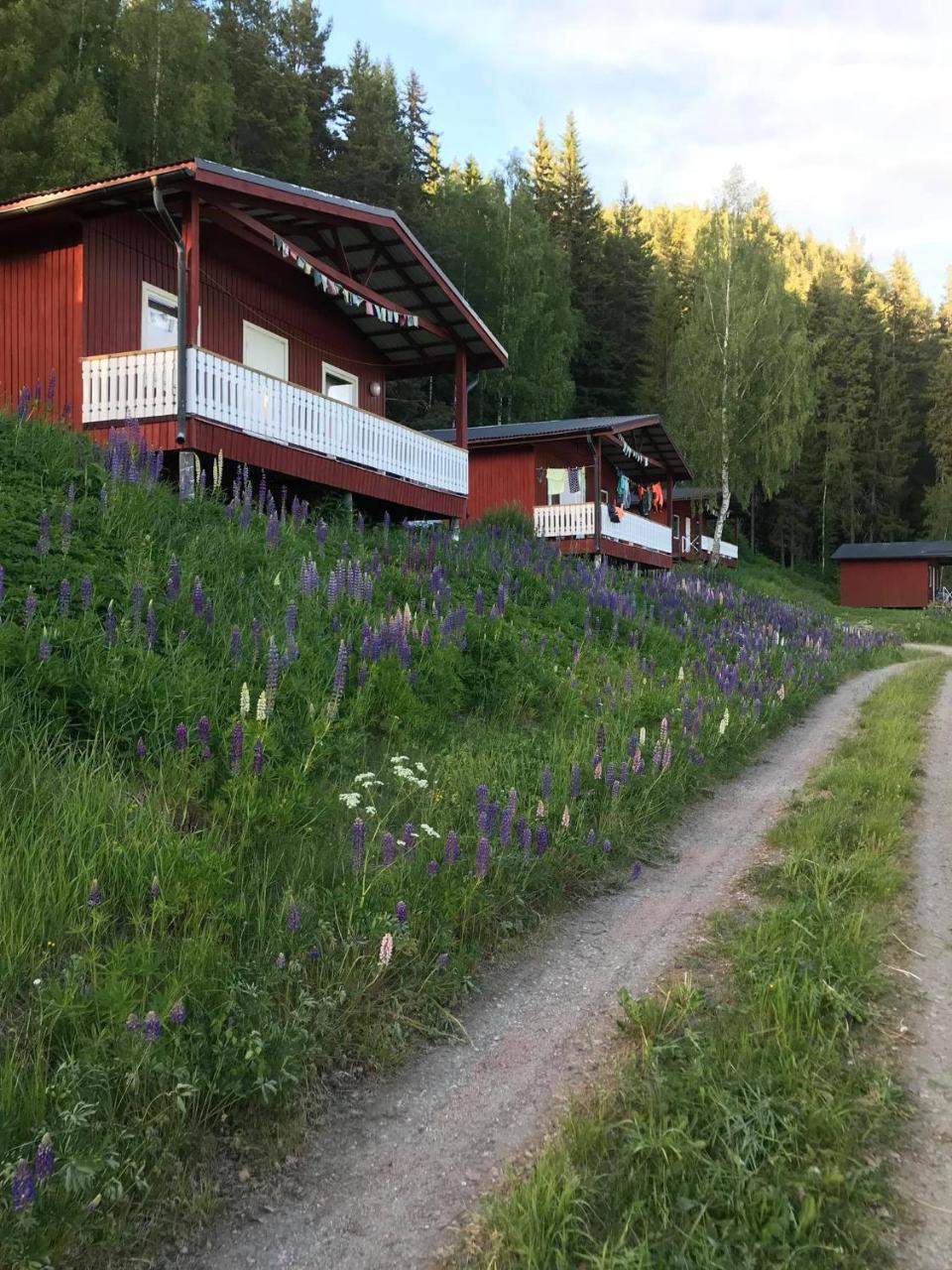 Utsiktens turistgård - carbon neutral hotel in Unknown City