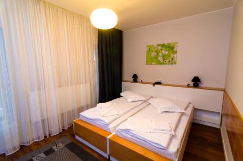 Pensiunea La Broscuta — Campia Turzii — photo 4