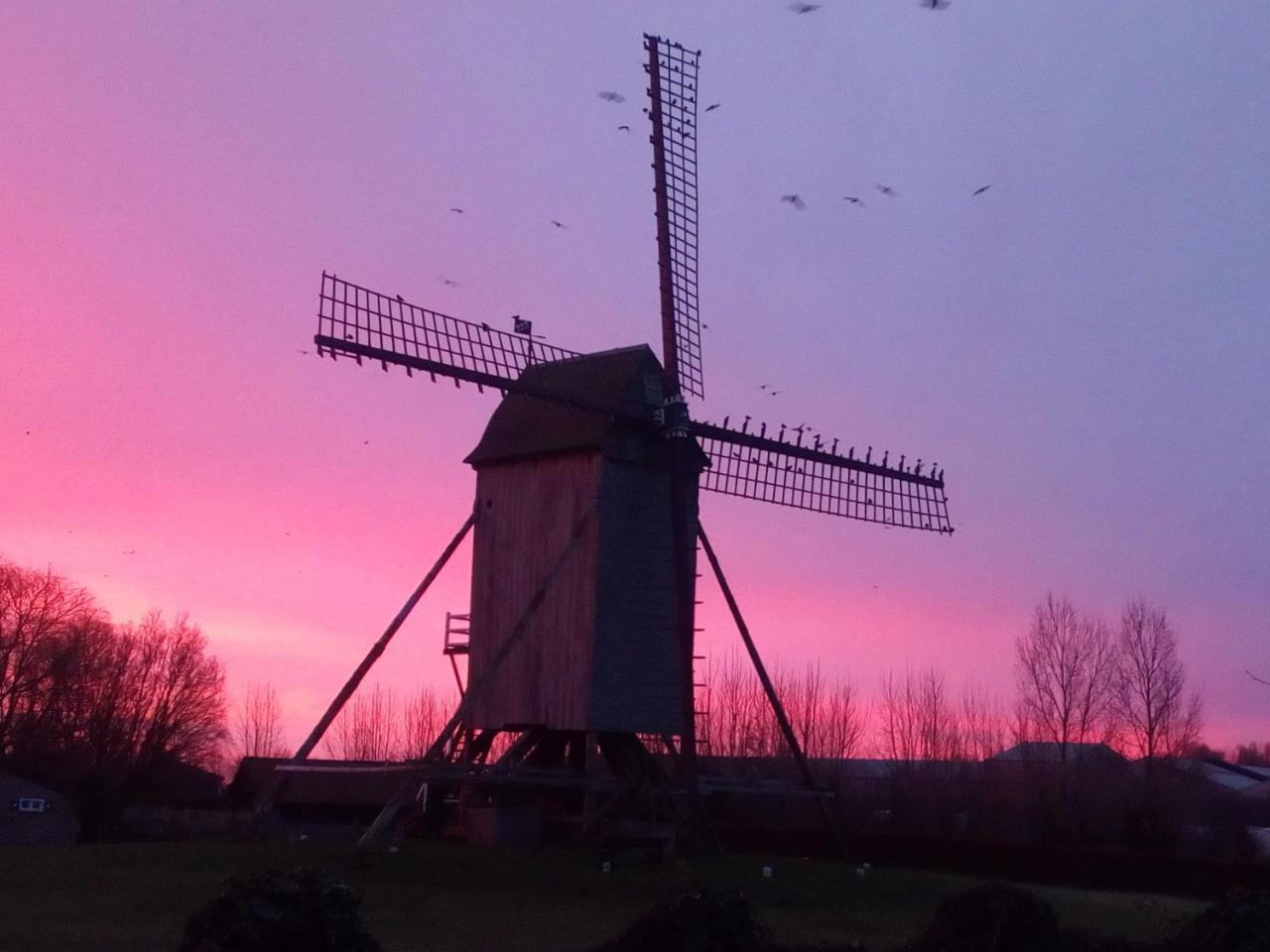 Vakantiehuis Louiselotte - carbon neutral hotel in Alveringem
