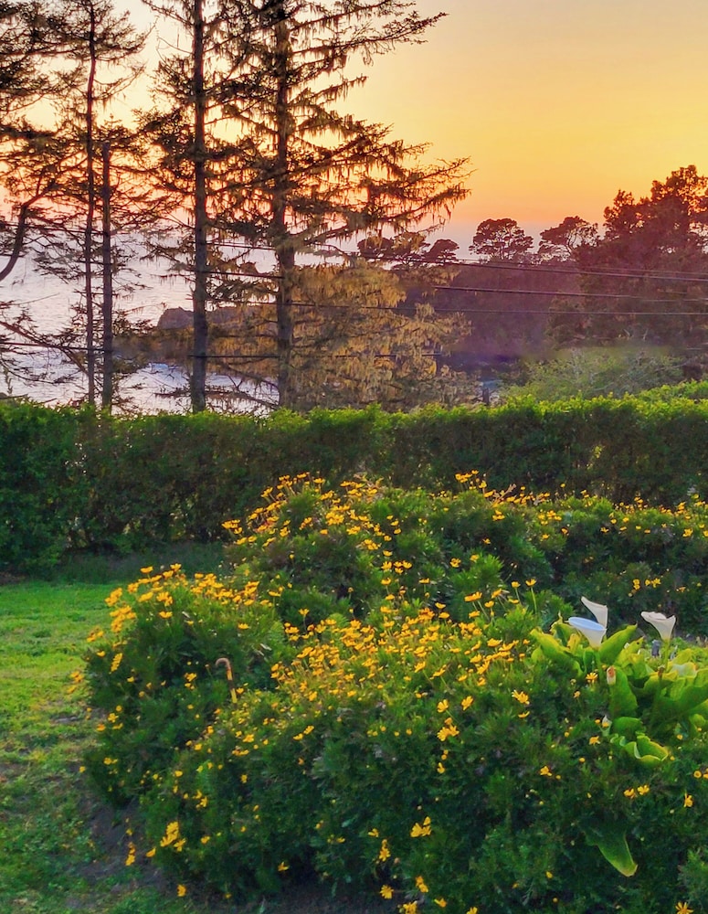 Inn at Buckhorn Cove - photo 40