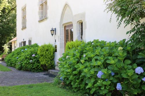 Manoir Xv Domaine De Peyrafort — Tulle