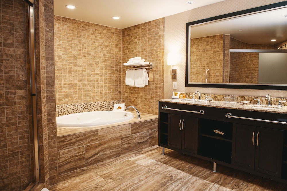 Four Winds Casino Resort New Buffalo - photo 19