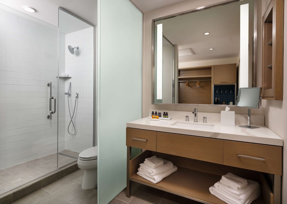Canopy by Hilton Dallas Frisco Station TX - photo 26