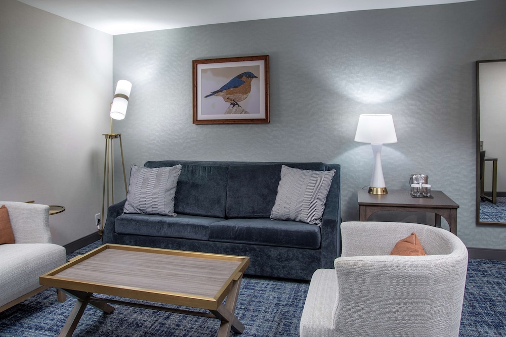 DoubleTree by Hilton Hot Springs - photo 12