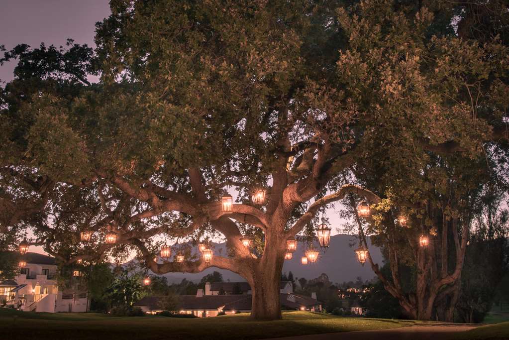 Ojai Valley Inn - photo 6