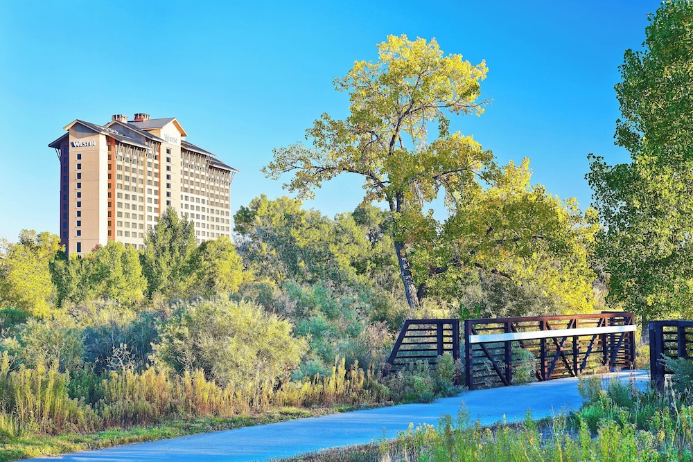 The Westin Westminster - photo 66