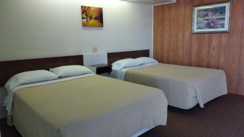 Driftwood Motel - photo 8