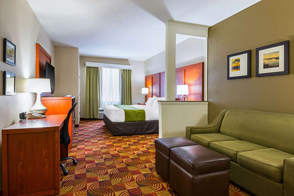 Comfort Suites Lake Charles - photo 15