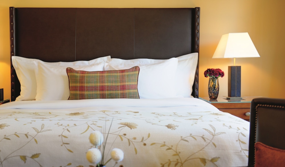 The Ritz Carlton Lake Tahoe - photo 5