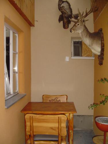 Hunter — Sturovo — photo 5