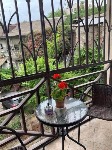 Tea s Condo in the Heart of Tbilisi