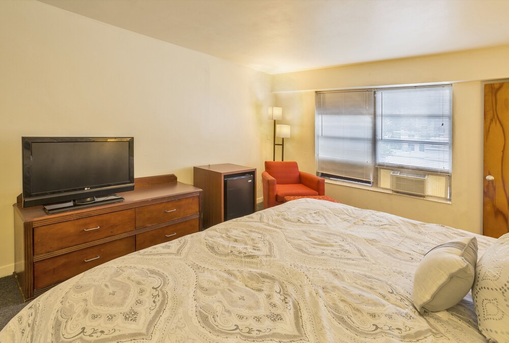 Palm Grove Inn - photo 8