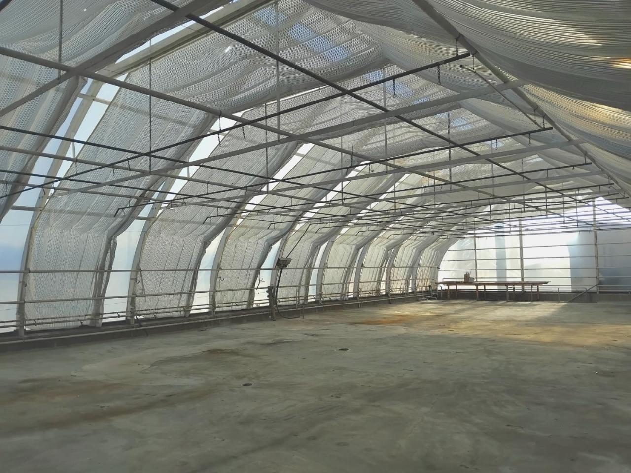 300m2 Greenhouse - last minute hotel in Unknown City