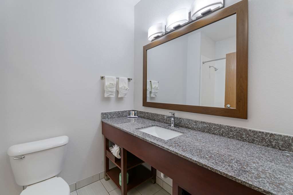 Comfort Suites Lake Geneva East - photo 6