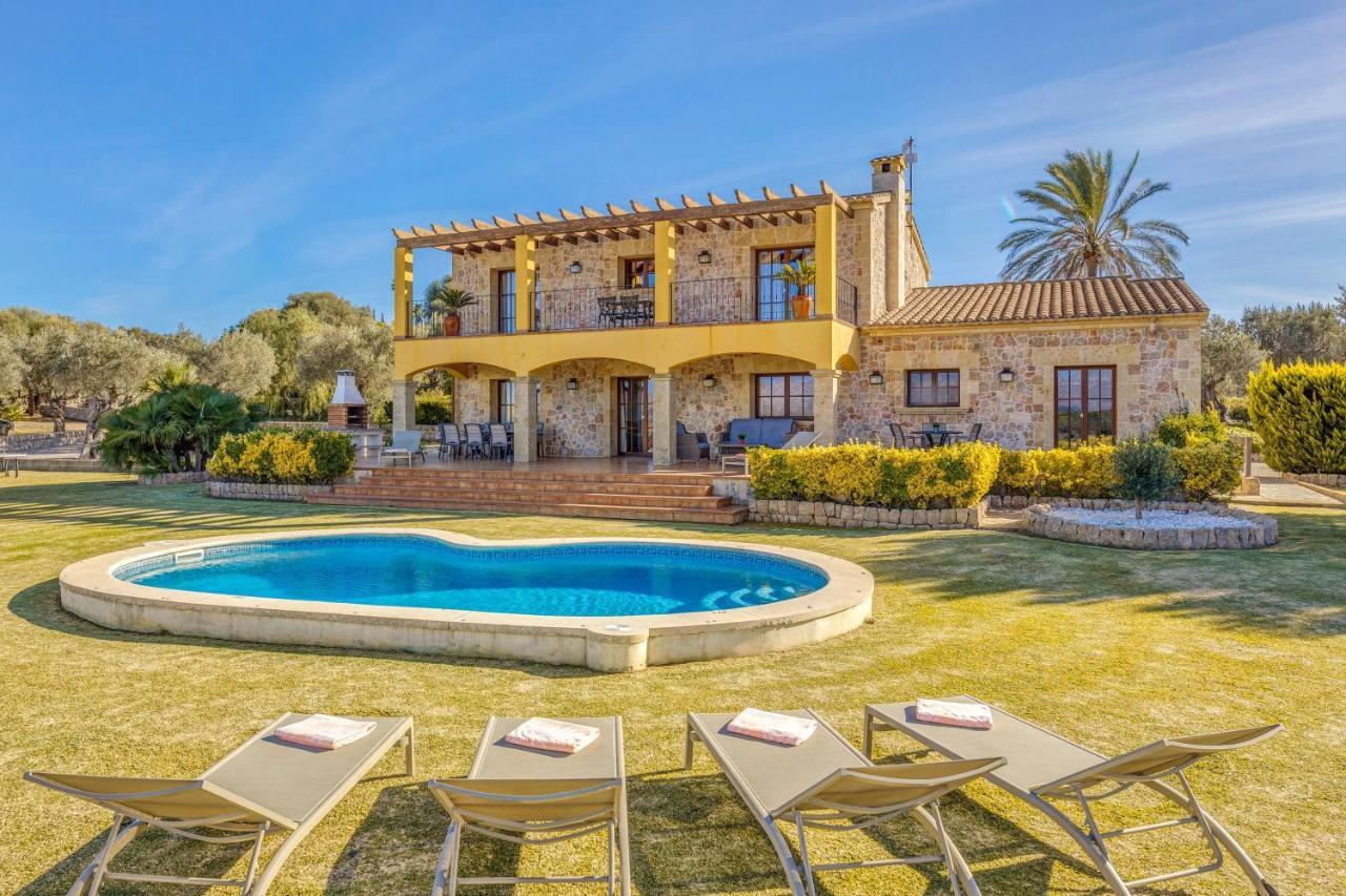 Bonnix - last minute hotel in Alcudia