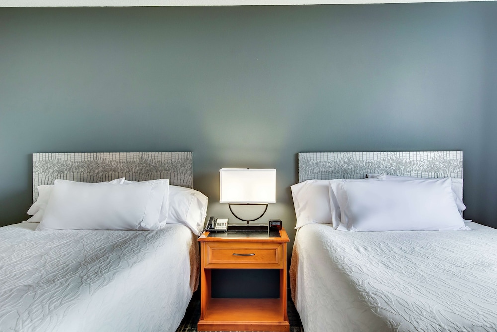 Hilton Garden Inn Louisville Airport - photo 19