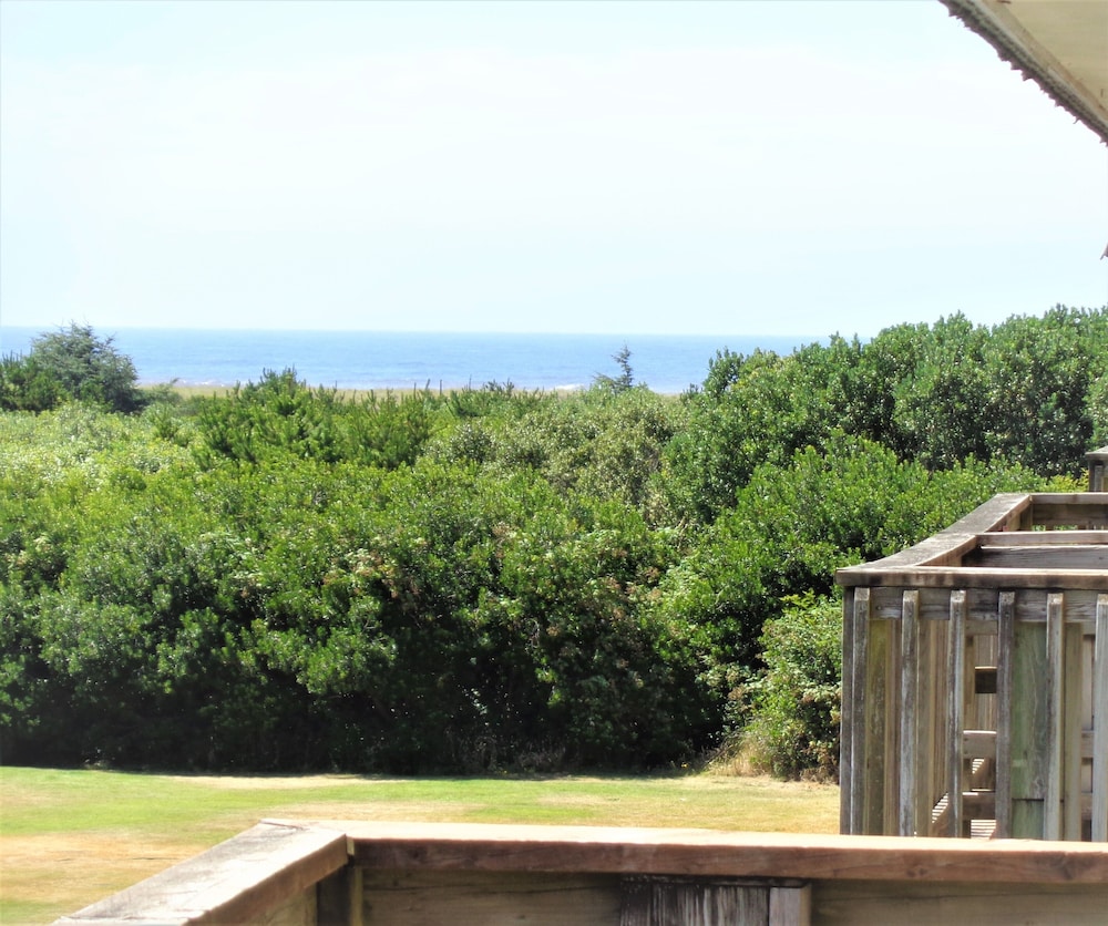 The Polynesian Resort - photo 16