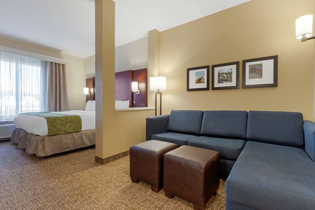 Comfort Suites Piedmont Greenville South - photo 10