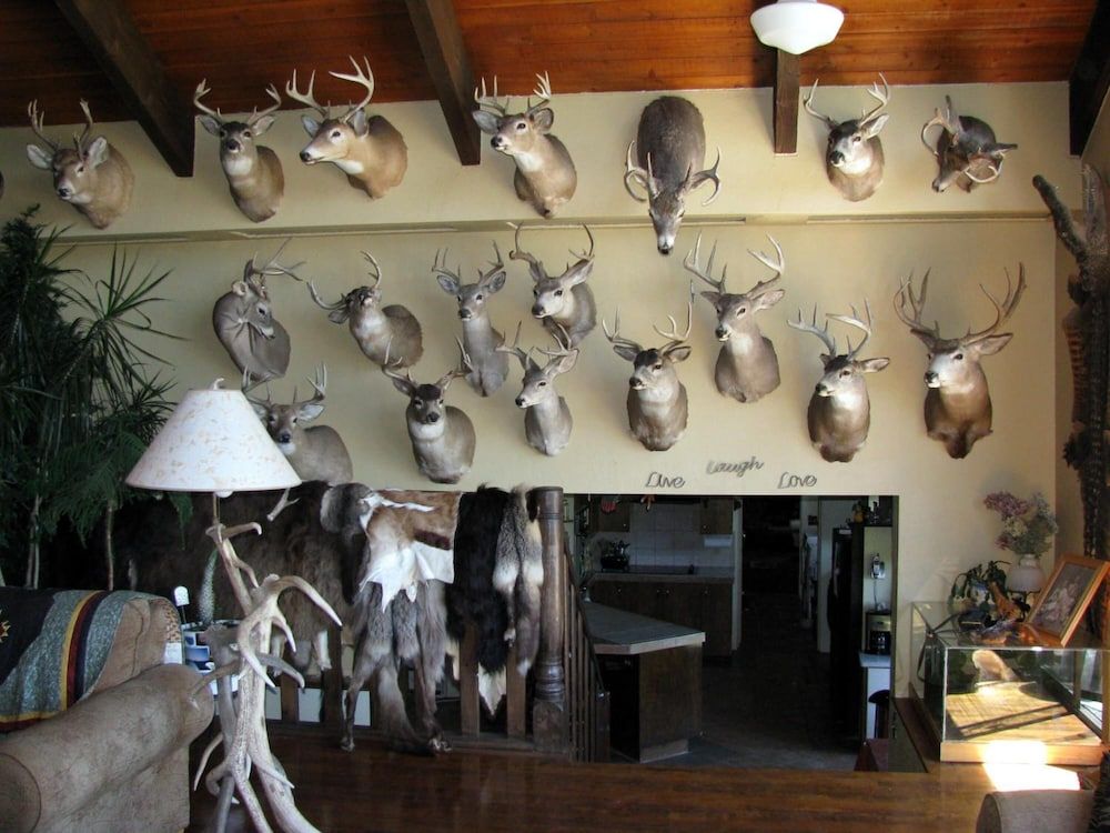 Whitebird Summit Lodge - photo 33