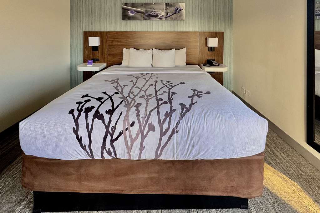 Sleep Inn Oakbrook Terrace Chicago - photo 53