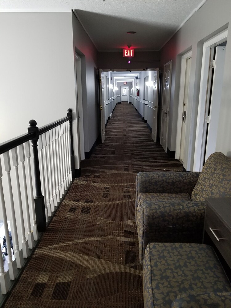 Adams Inn - photo 37