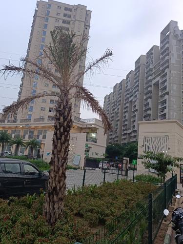 Urban Home Stay