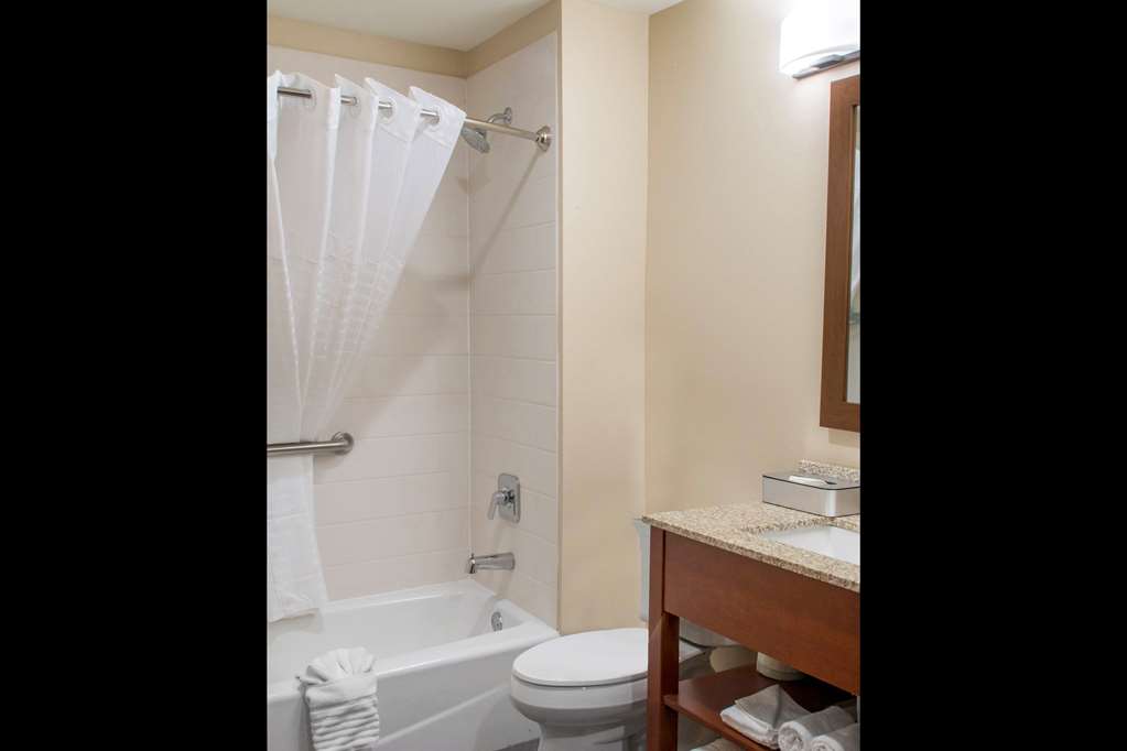 MainStay Suites Edinburg South - photo 15