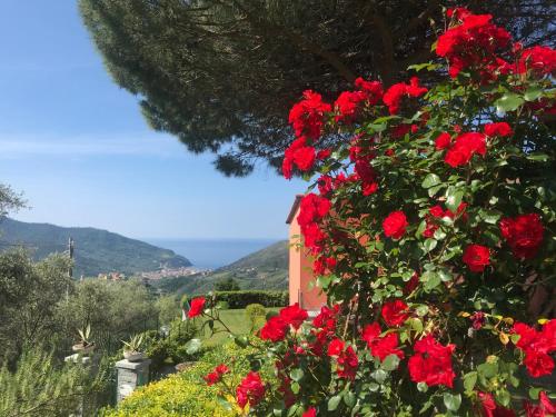La Vignana 5 Terre — Levanto — photo 3