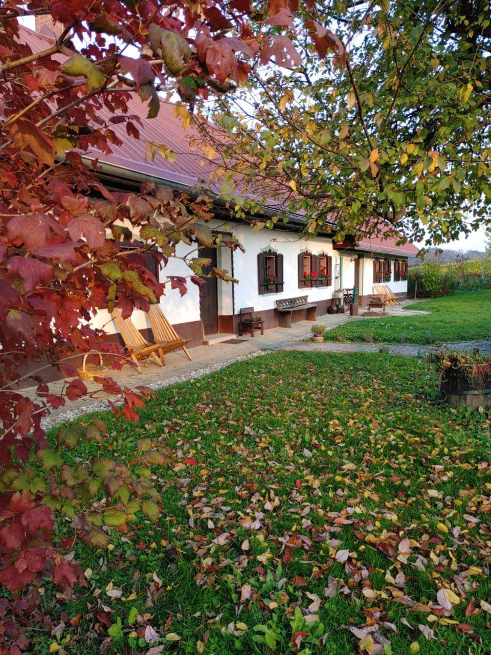 Počitniška Hiša Prlečka — Ormoz — photo 2