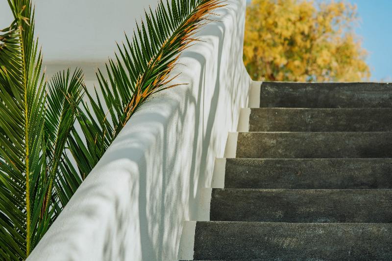 Vithos Aparthotel — Astypalaia — photo 4
