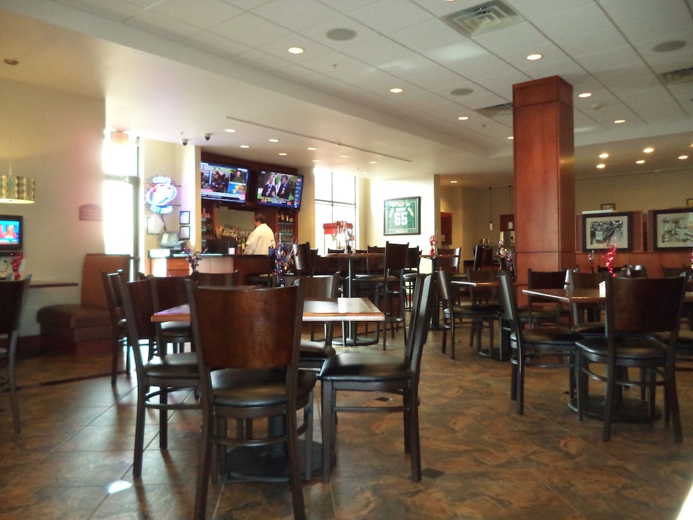 Holiday Inn Madison at The American Center by IHG - photo 44