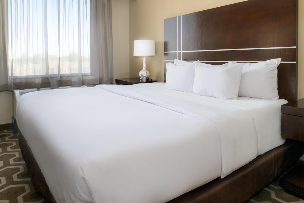 Hampton Inn by Hilton St. Louis Airport - photo 39