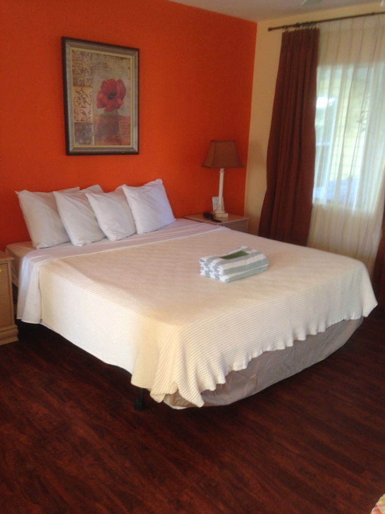 Amber Tides Motel - photo 4