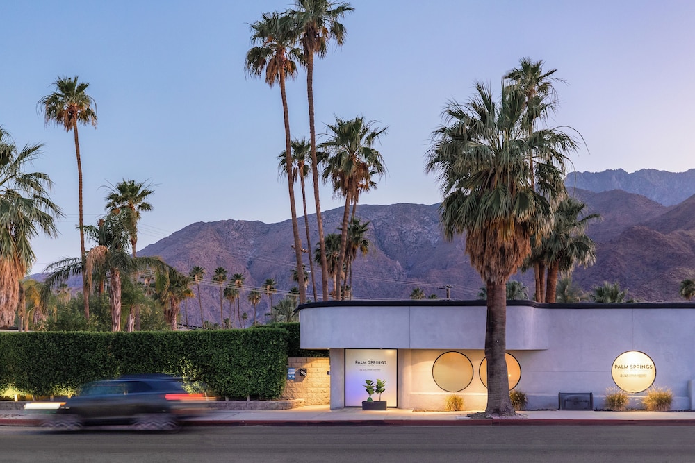 The Palm Springs Hotel - photo 45
