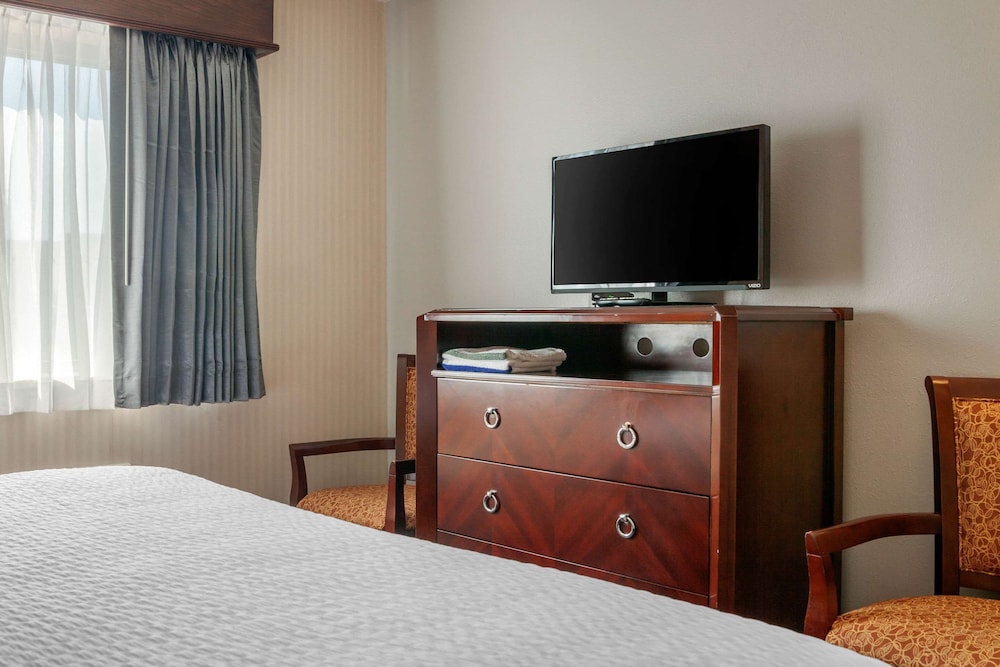 Wintergreen Hotel & Conference Center - photo 41