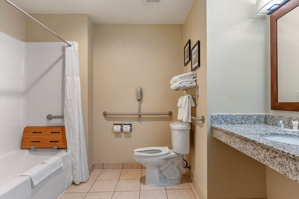 Comfort Suites Grand Rapids North - photo 10