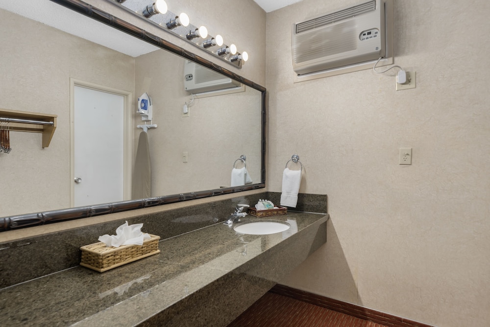Caliente Tropics Hotel - photo 43