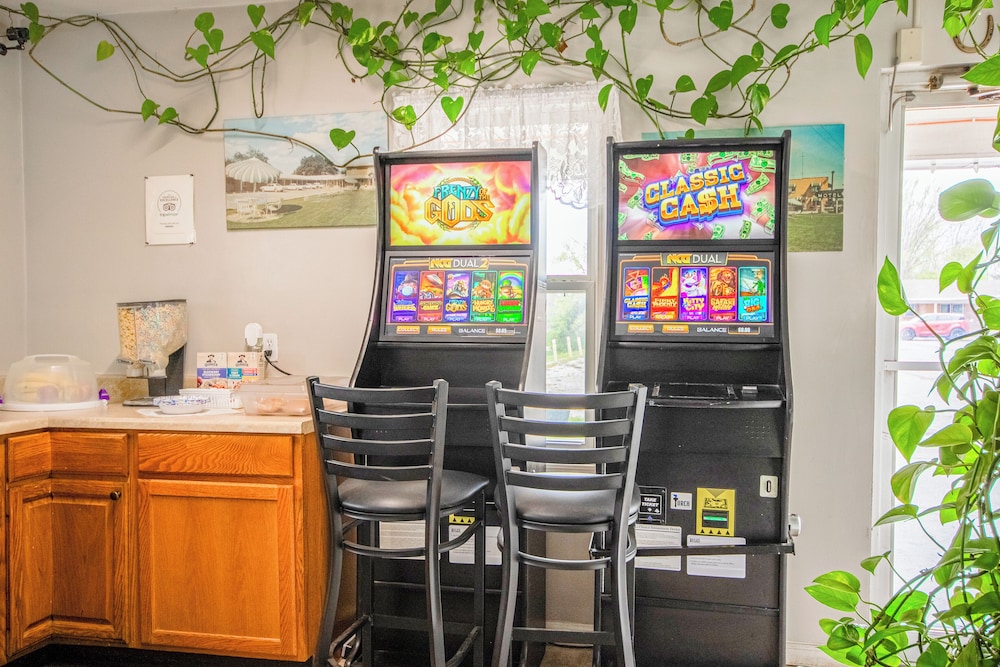 OYO Travelier Motel - photo 79