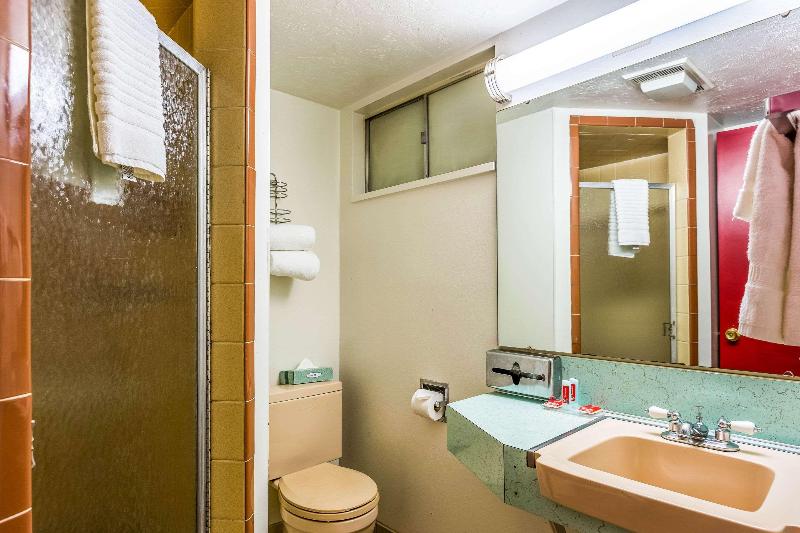 Econo Lodge Idaho Falls - photo 19