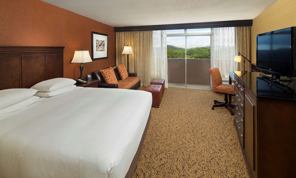 The Park Vista a DoubleTree by Hilton Hotel Gatlinburg - photo 7