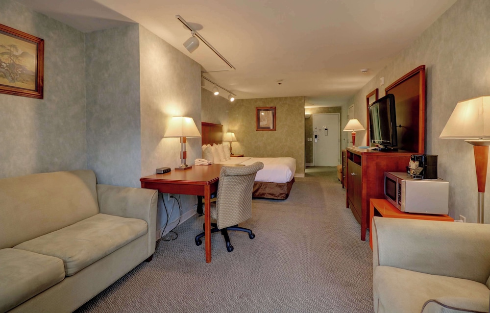Senator Inn & Spa - photo 43