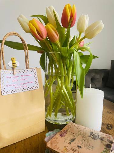 Studio apartman Avenija in Slavonski Brod, Croatia