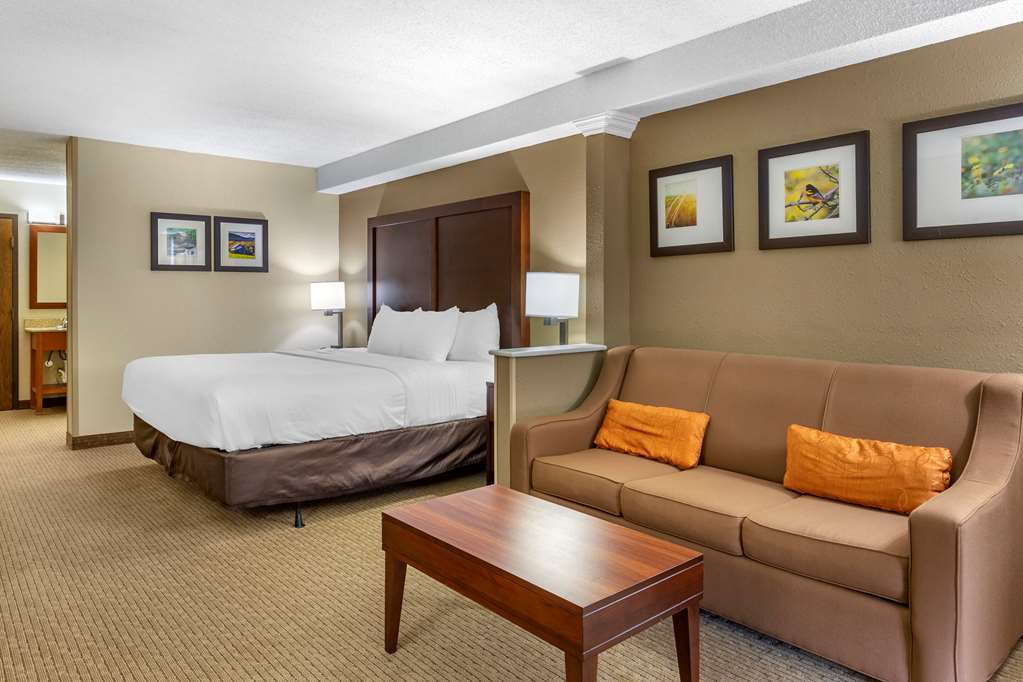Comfort Inn & Suites near Danville Mall - photo 18