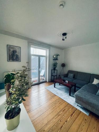 Wohnen im Herzen von St Pauli Gästezimmer in geteilter Wohnung - carbon neutral hotel in Hamburg