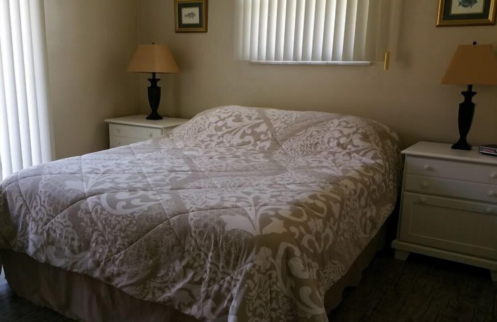 Palm Terrace - photo 9