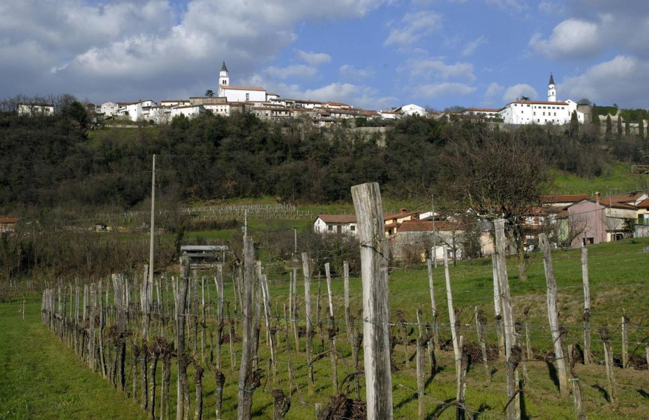 Apartma in Soba Vipavski Kriz in Ajdovscina, Slovenia